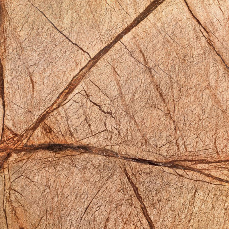 Bidasar Brown