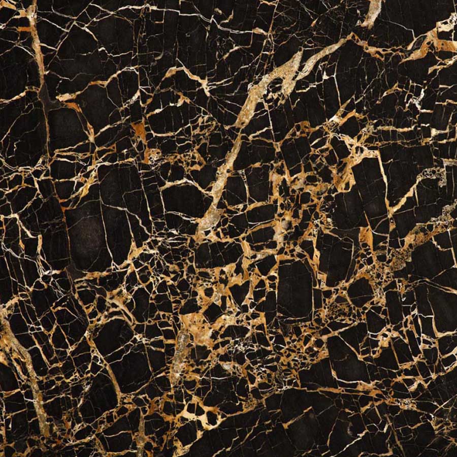 Black and Gold